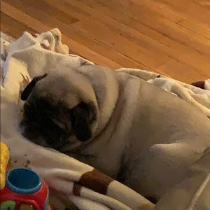 Meet your Posher, Michael